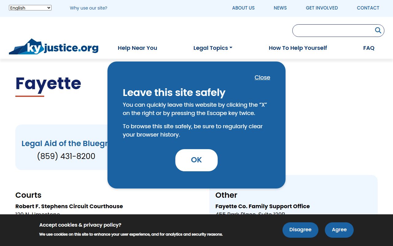 Kentucky Justice Portal showing Fayette County Lexington Family Court Records resources